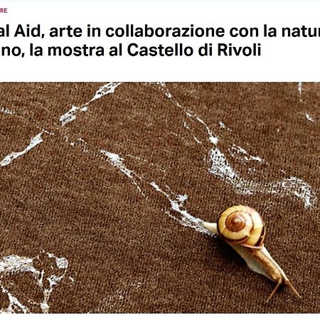 La Casa Di Silvio Ai Giardini Reali Apartment Turin Luaran gambar