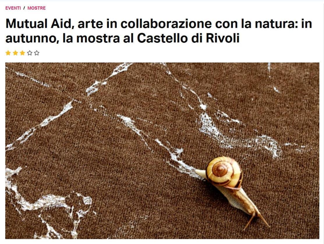 La Casa Di Silvio Ai Giardini Reali Apartment Turin Luaran gambar